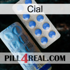 Cial 40